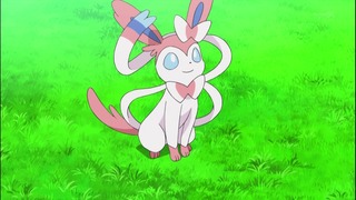 アニメ万国情報館 画像あり ポケットモンスター Xy 第１３話 ニンフィアｖｓケロマツ 幼稚園は大さわぎ 感想