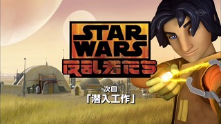 sw (73)