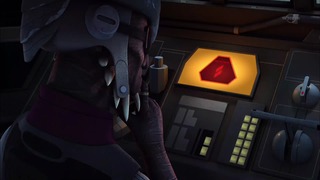 sw (22)