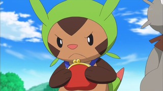 xy (102)