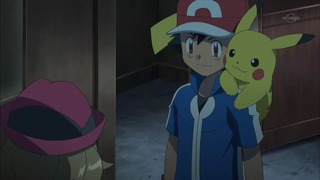 xy (28)