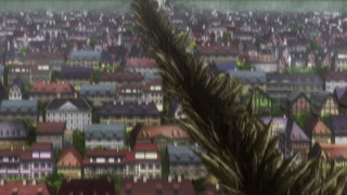 cap (105)