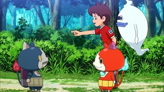 255