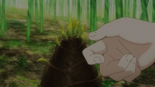 cap (66)