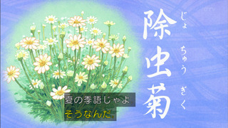 maru-87