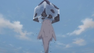 cap (224)