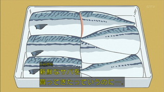 saza-113