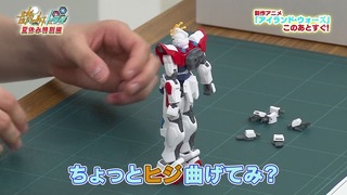 cap (13)