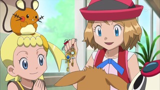 xy (16)