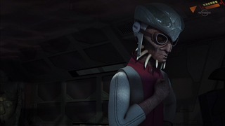 sw (21)