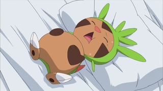 xy (134)