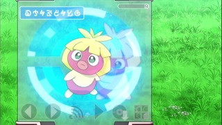 xy49 (27)