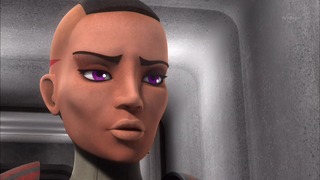 sw (46)