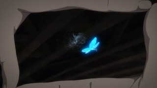 cap (236)