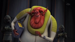 sw (34)