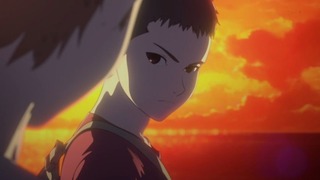cap (253)