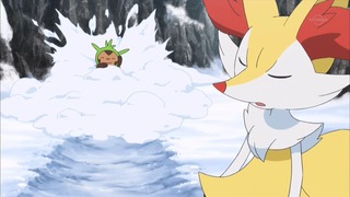 xy (115)