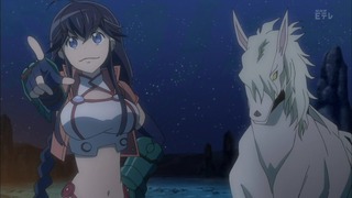 log14 (17)