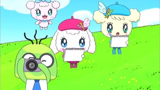 tama (12)