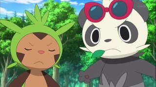 xy49 (138)