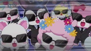 cap (244)