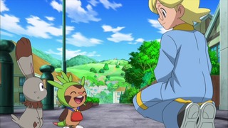 xy (60)