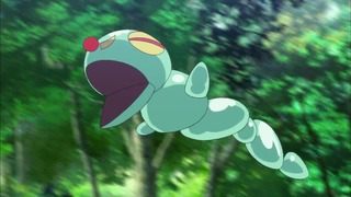 cap (55)