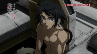 cap (8)