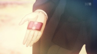 cap (8)