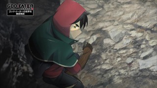 cap (48)