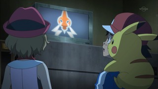 xy (73)