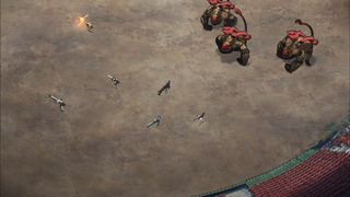 cap (51)