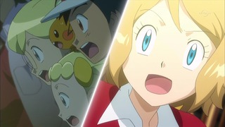 xy (44)