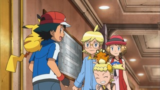 xy (18)