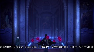 fate14 (74)