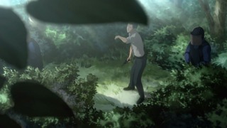 cap (112)