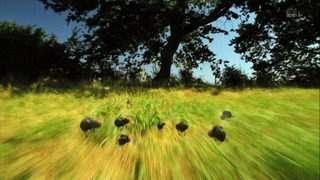 Screenshot20140329225658