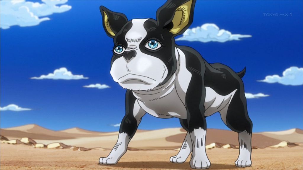 アニメ万国情報館 ジョジョの奇妙な冒険 スターダストクルセイダース 第25話 愚者 ザ フール のイギーと ゲブ神 のンドゥール その1 感想 キャプ画像あり