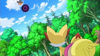 xy49 (133)