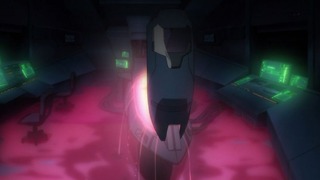 cap (135)