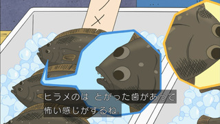 maru-15
