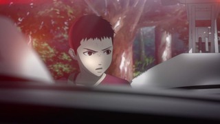 cap (224)