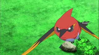 xy49 (112)