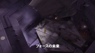 sw (10)