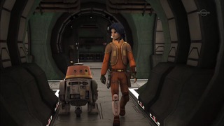 sw (45)