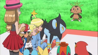 xy49 (6)