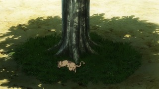 cap (13)