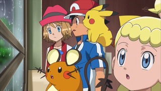 xy (16)