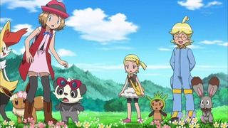 xy (193)