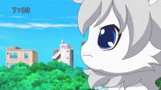 cap (14)